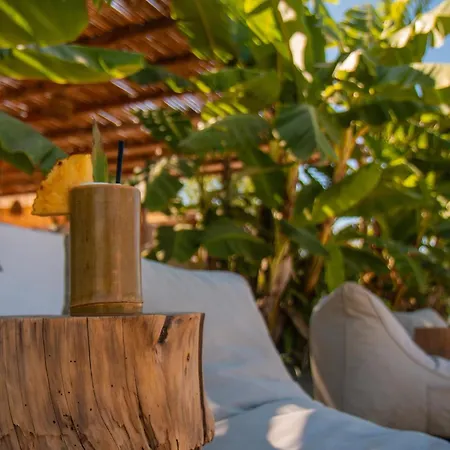 Aparthotel Erosea